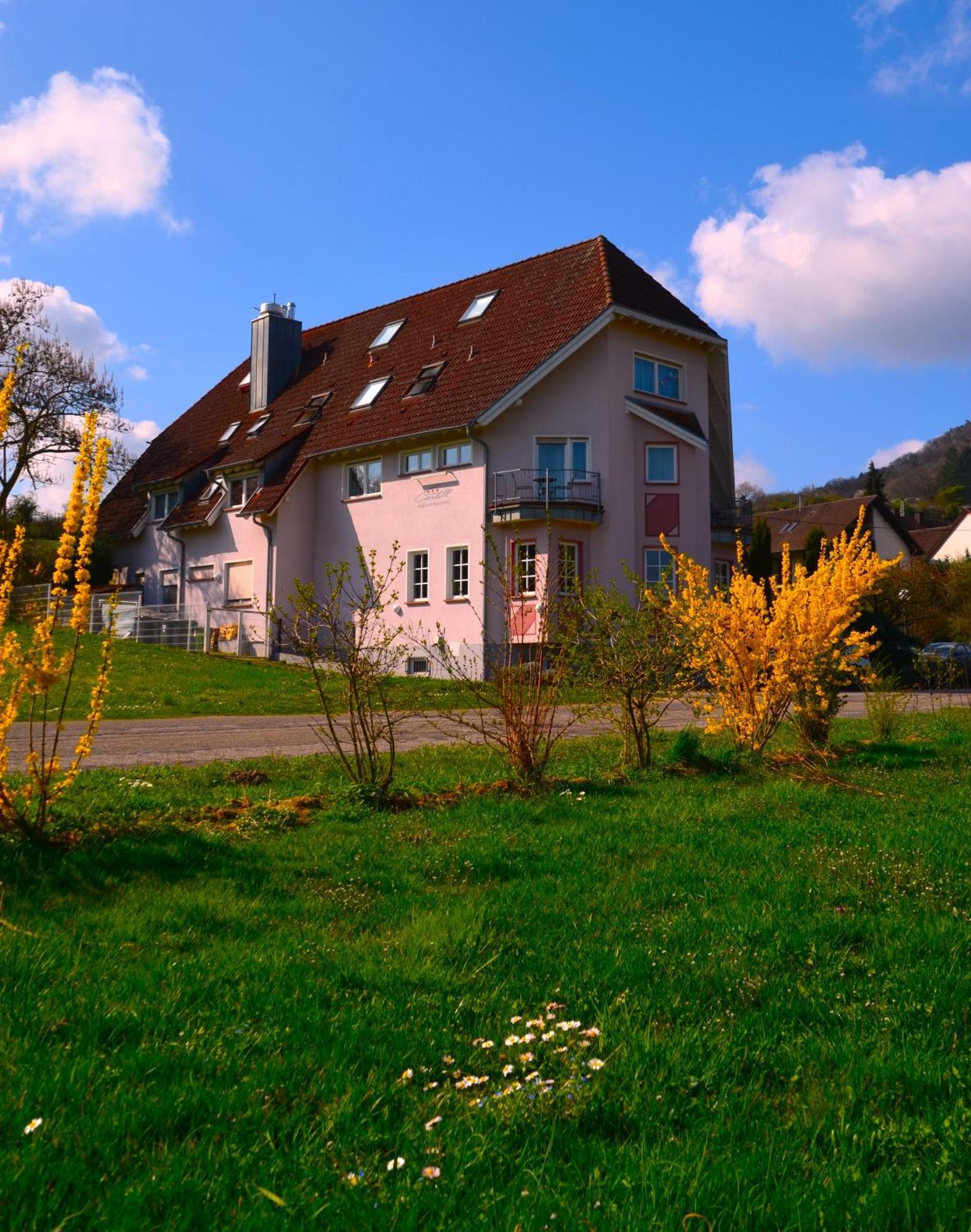 Castell Hotel&Restaurant Leinsweiler Exterior foto